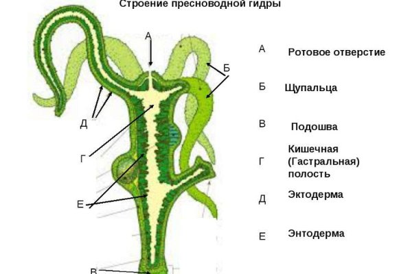 Kraken актуальные ссылки официальный сайт