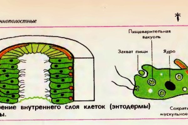 Кракен что за сайт