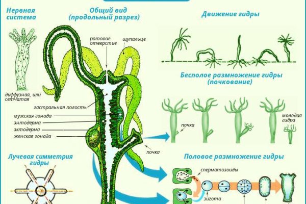 Кракен вход официальный сайт