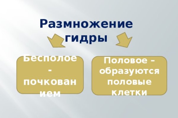Kraken вы забанены
