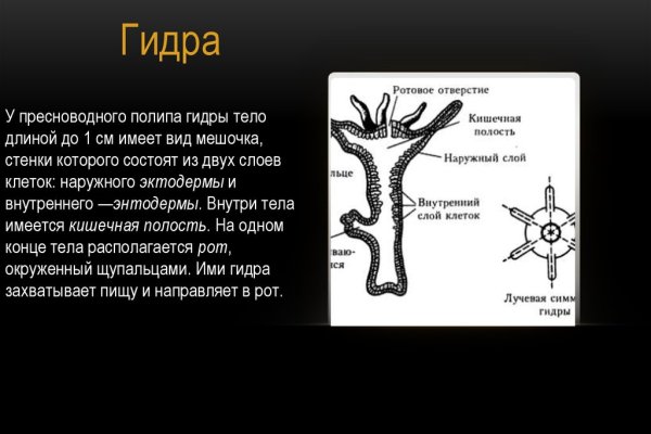 Что такое kraken в россии